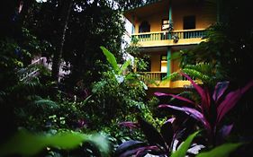 Balaji Inn
